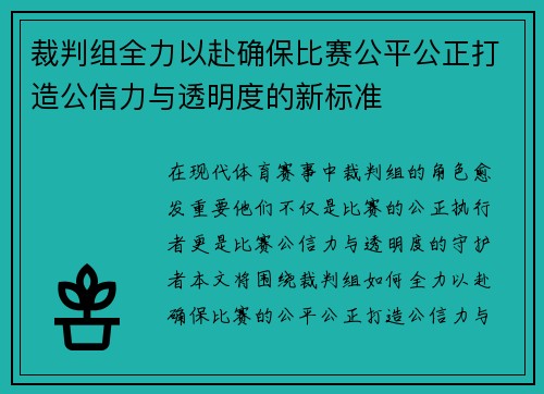 裁判组全力以赴确保比赛公平公正打造公信力与透明度的新标准