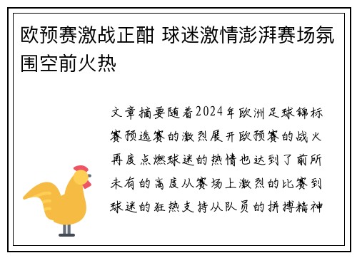 欧预赛激战正酣 球迷激情澎湃赛场氛围空前火热
