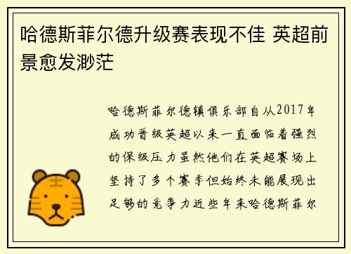 哈德斯菲尔德升级赛表现不佳 英超前景愈发渺茫