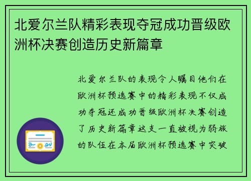 北爱尔兰队精彩表现夺冠成功晋级欧洲杯决赛创造历史新篇章
