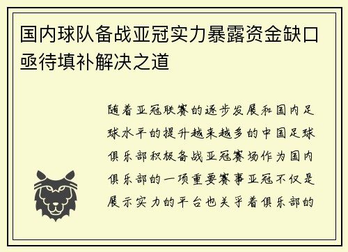 国内球队备战亚冠实力暴露资金缺口亟待填补解决之道
