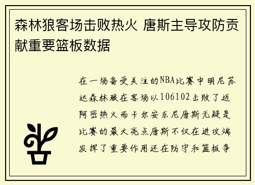 森林狼客场击败热火 唐斯主导攻防贡献重要篮板数据