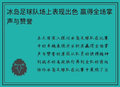 冰岛足球队场上表现出色 赢得全场掌声与赞誉
